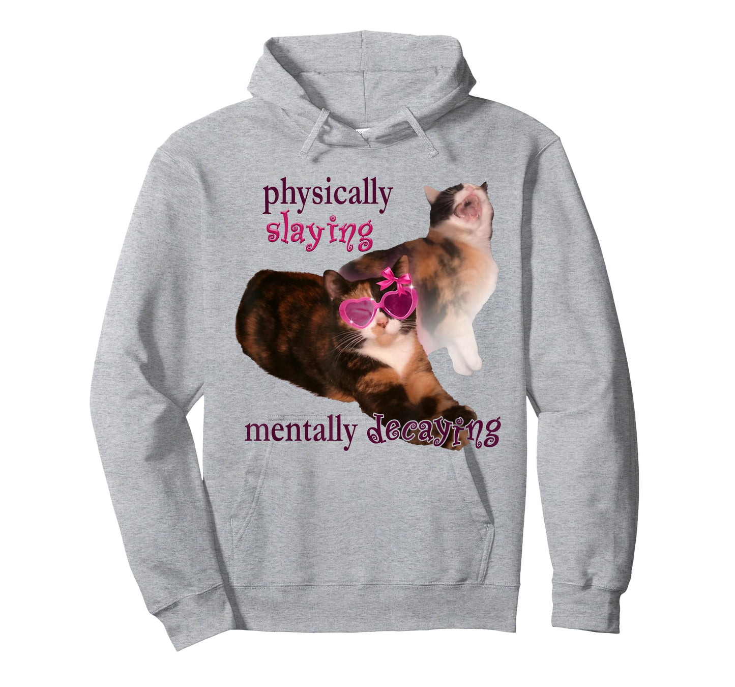 Cat Meme Physically Slaying Mentally Decaying T-Shirt