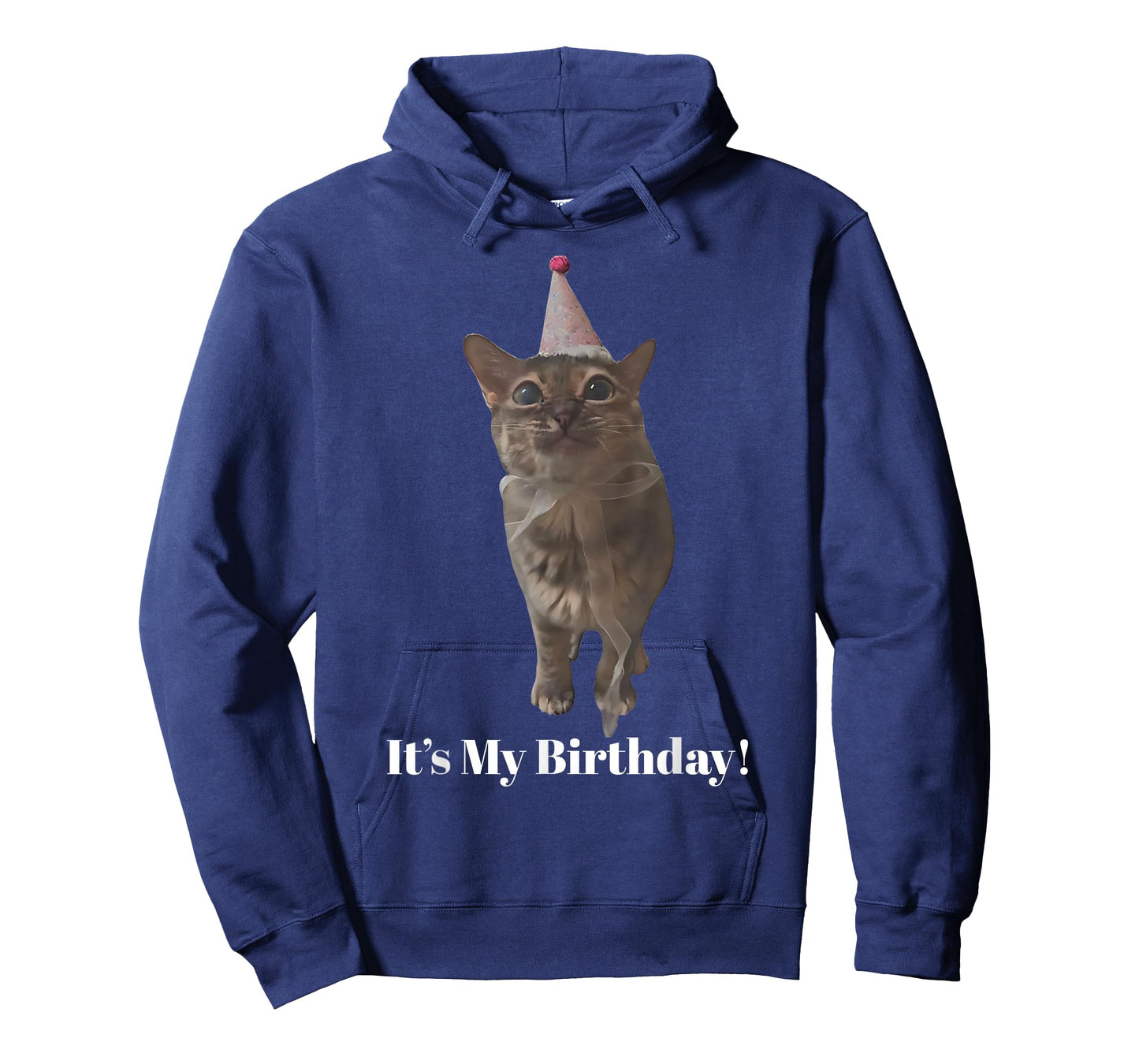 Cute Birthday Cat It's My Birthday Silly Cat Meme Cat Lover T-Shirt