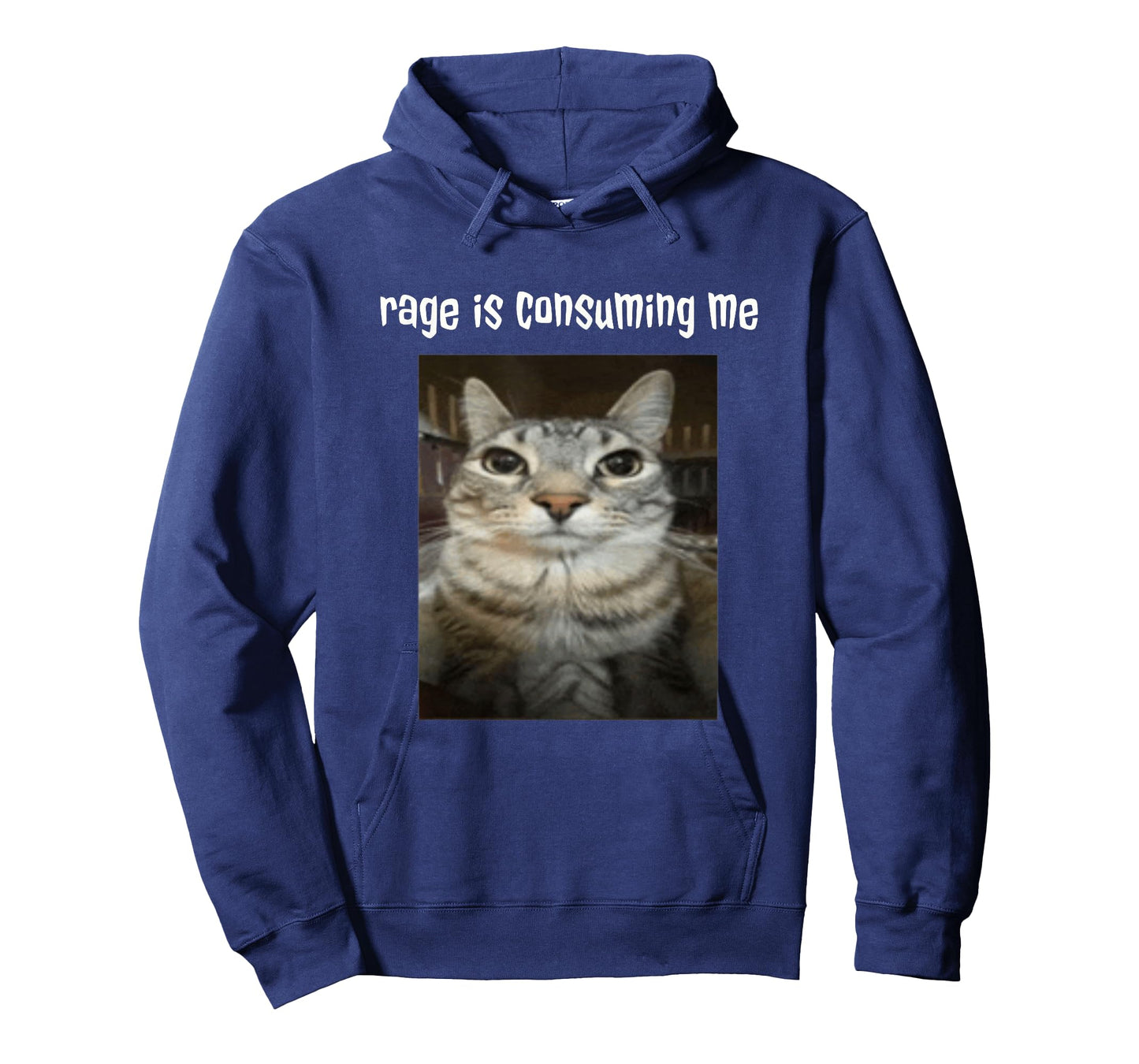 Silly Staring Cat Meme Rage Is Consuming Me T-Shirt