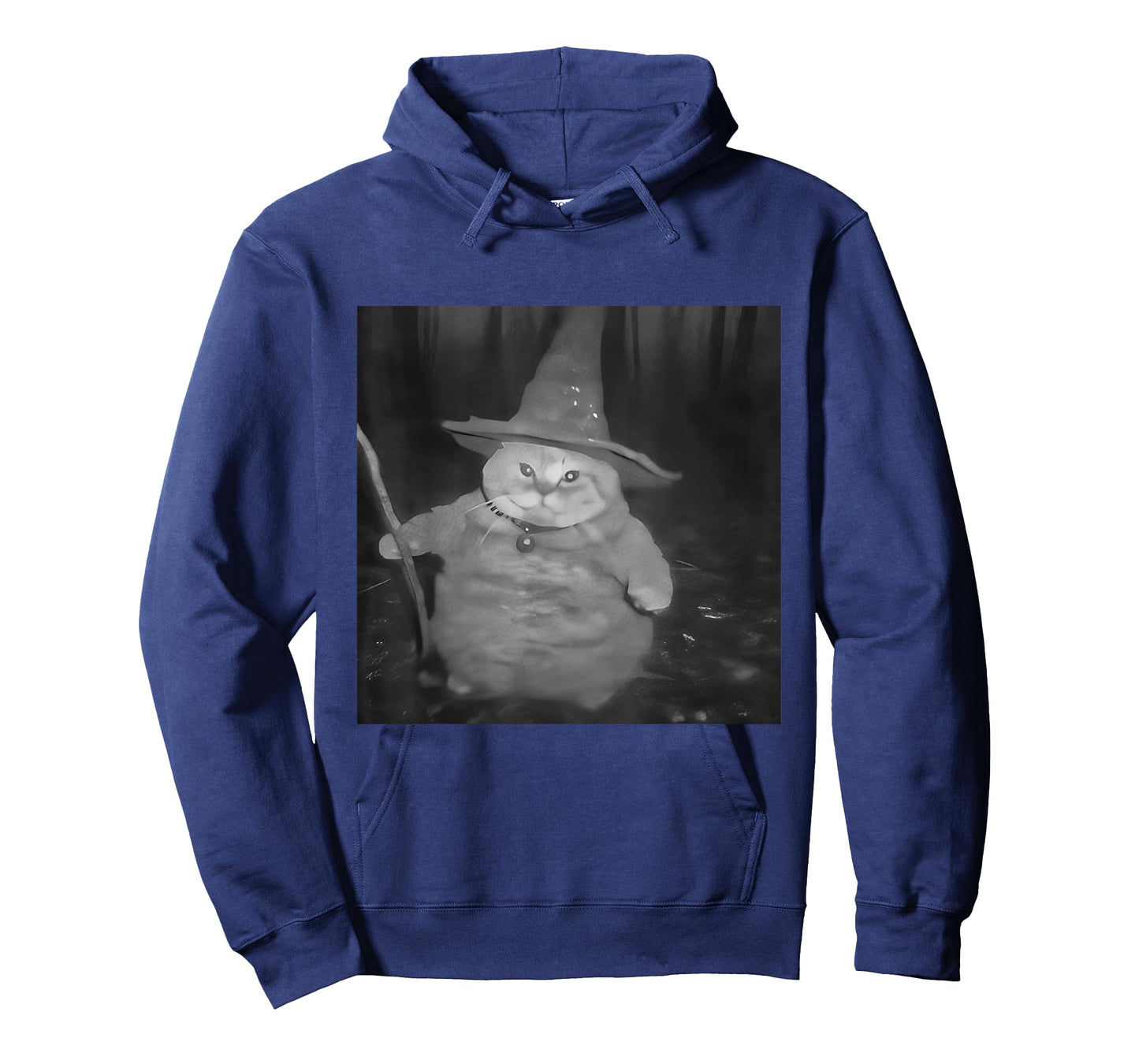 Fat Wizard Cat Fat Kitten Wizard Funny Cat Meme Brain Rot T-Shirt