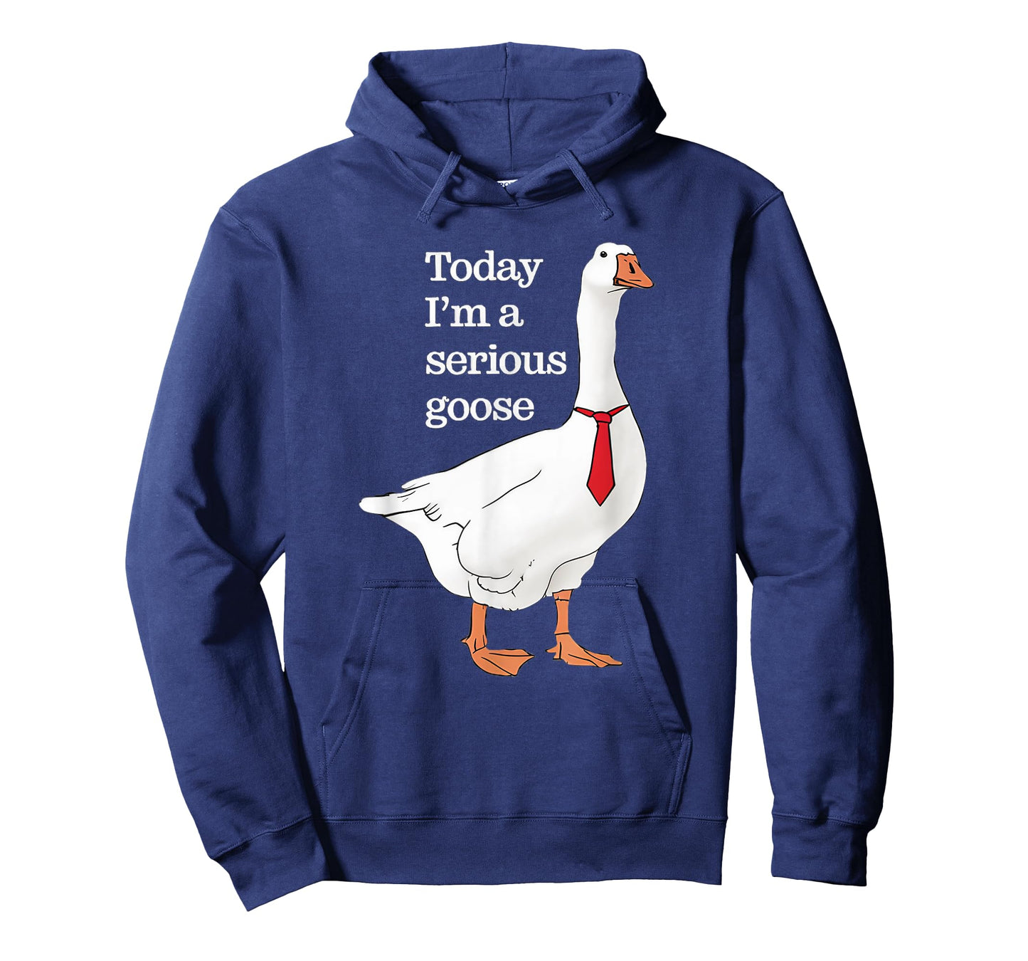 Today I Am A Serious Goose Funny Oddly Specific Dank Meme T-Shirt
