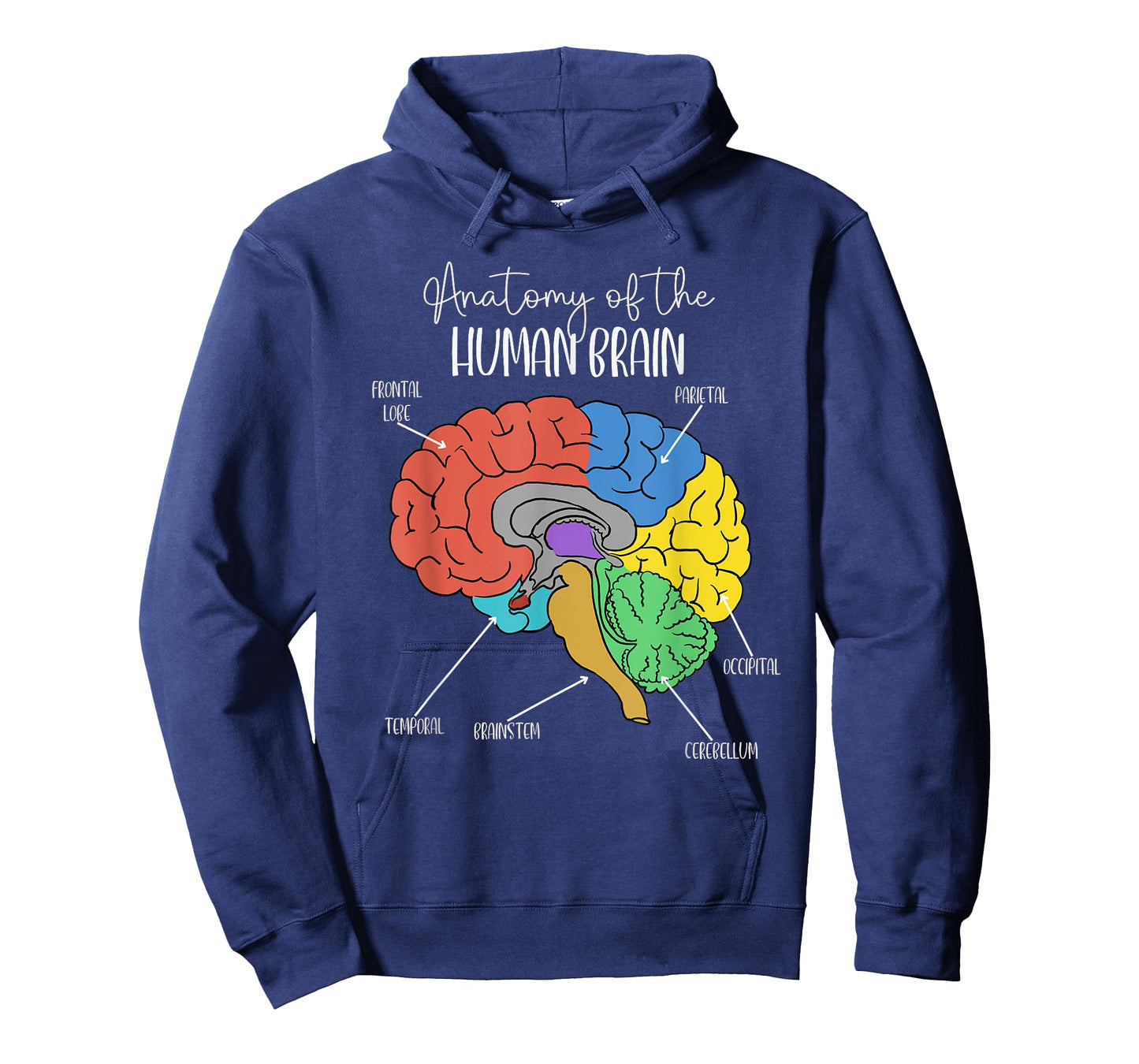 Anatomy of the Human Brain Diagram Neurology Colorful Brain T-Shirt
