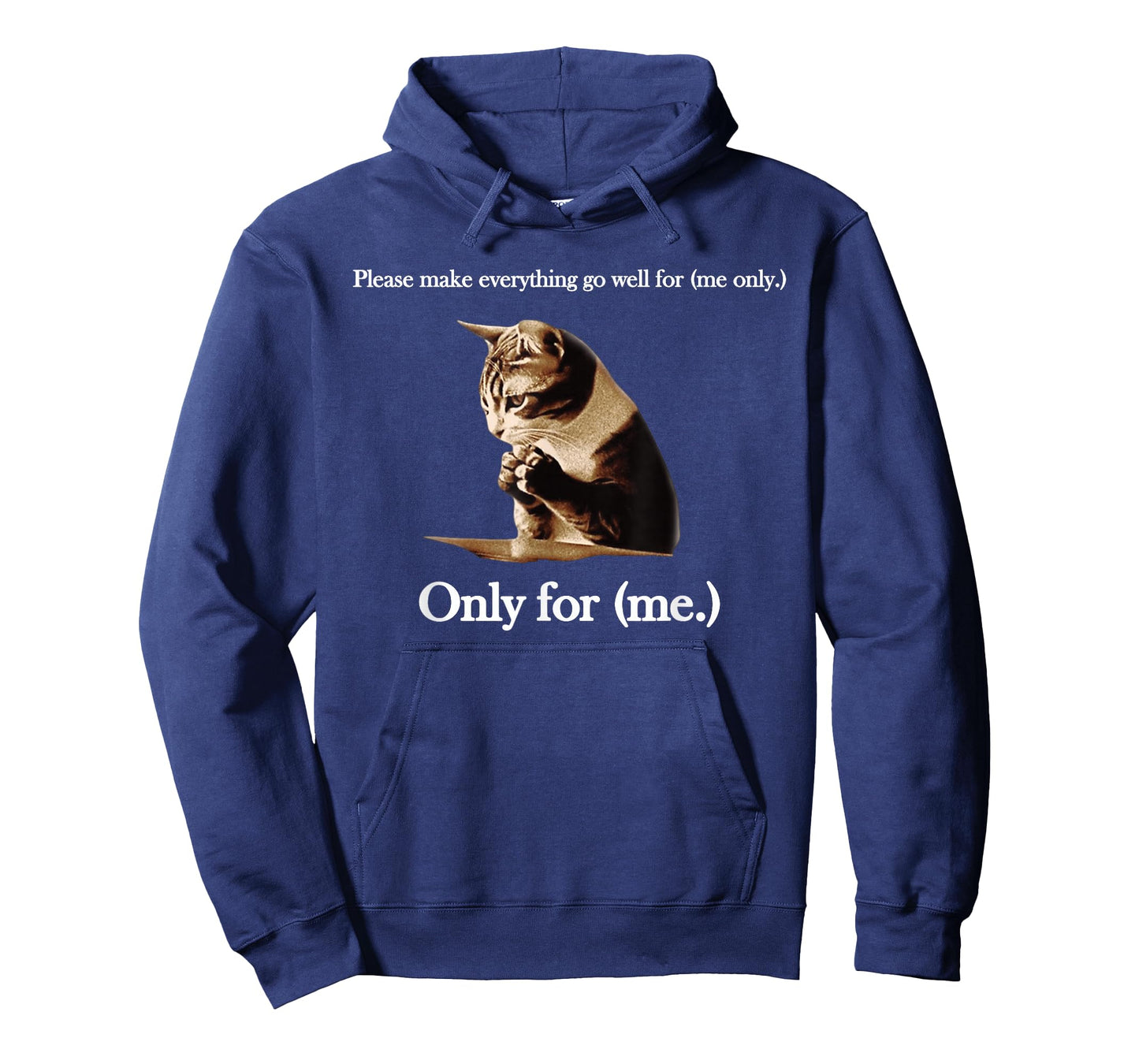 Please Make Everything Go Well For (me only.) Cat Saying T-Shirt