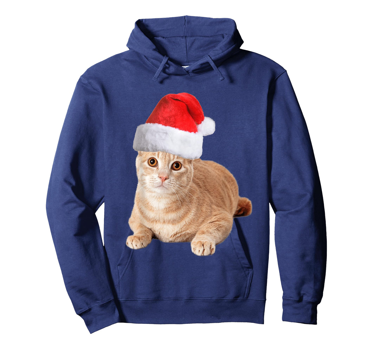 Orange Tabby Cat With Christmas Santa Hat For Women Men T-Shirt