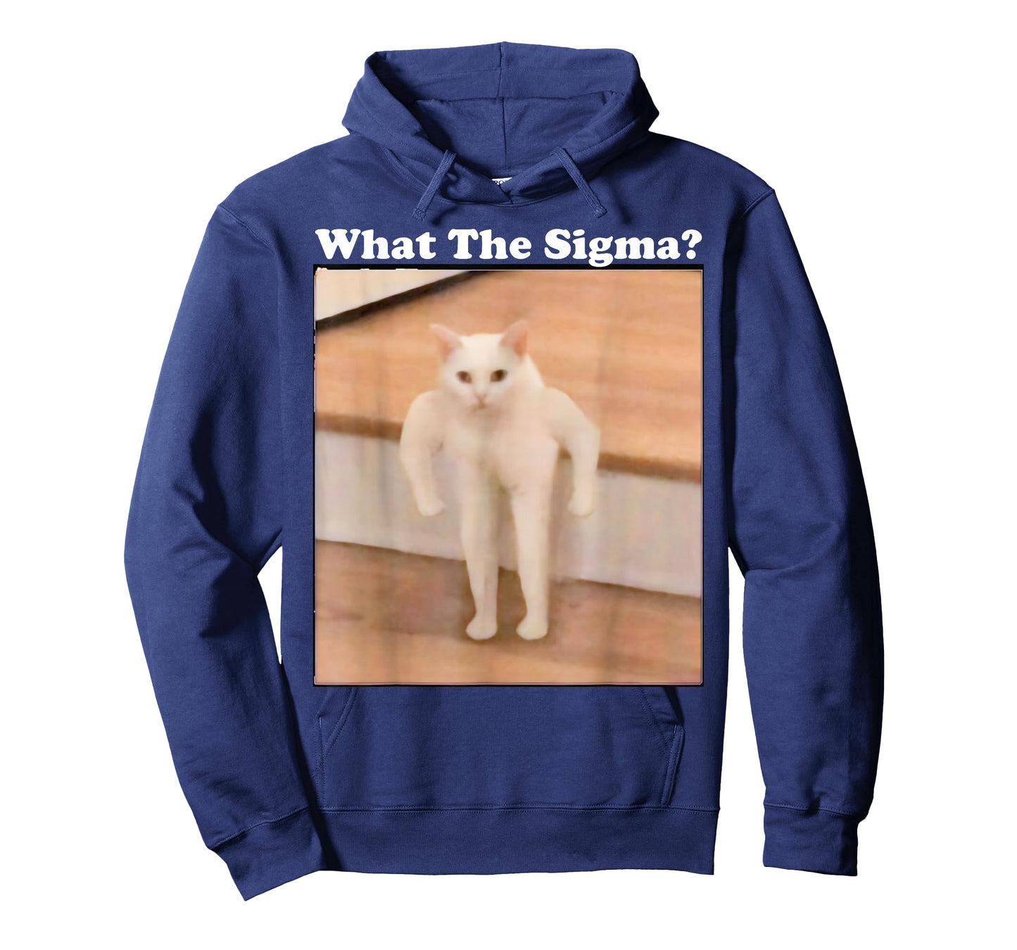 What Sigma Meme Cat Meme Internet Memes Funny Meme Gen Z Pun T-Shirt