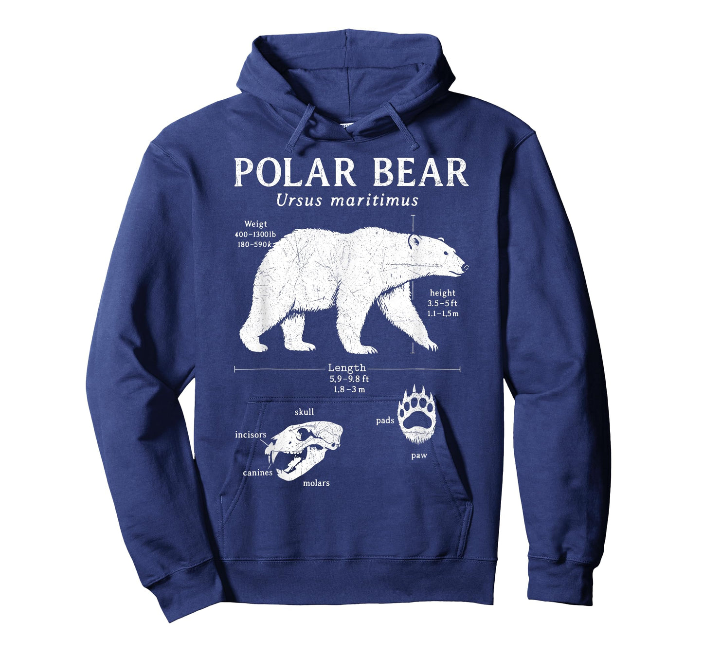 Arctic Polar Bear Anatomy Marine Biology North Pole Science T-Shirt