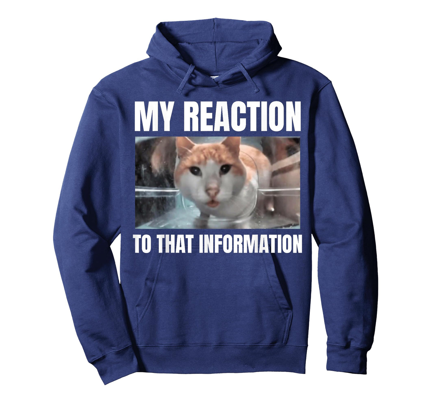Hello Street Cat Funny Staring Bombastic Side Eye Meme Cats T-Shirt for Men Women
