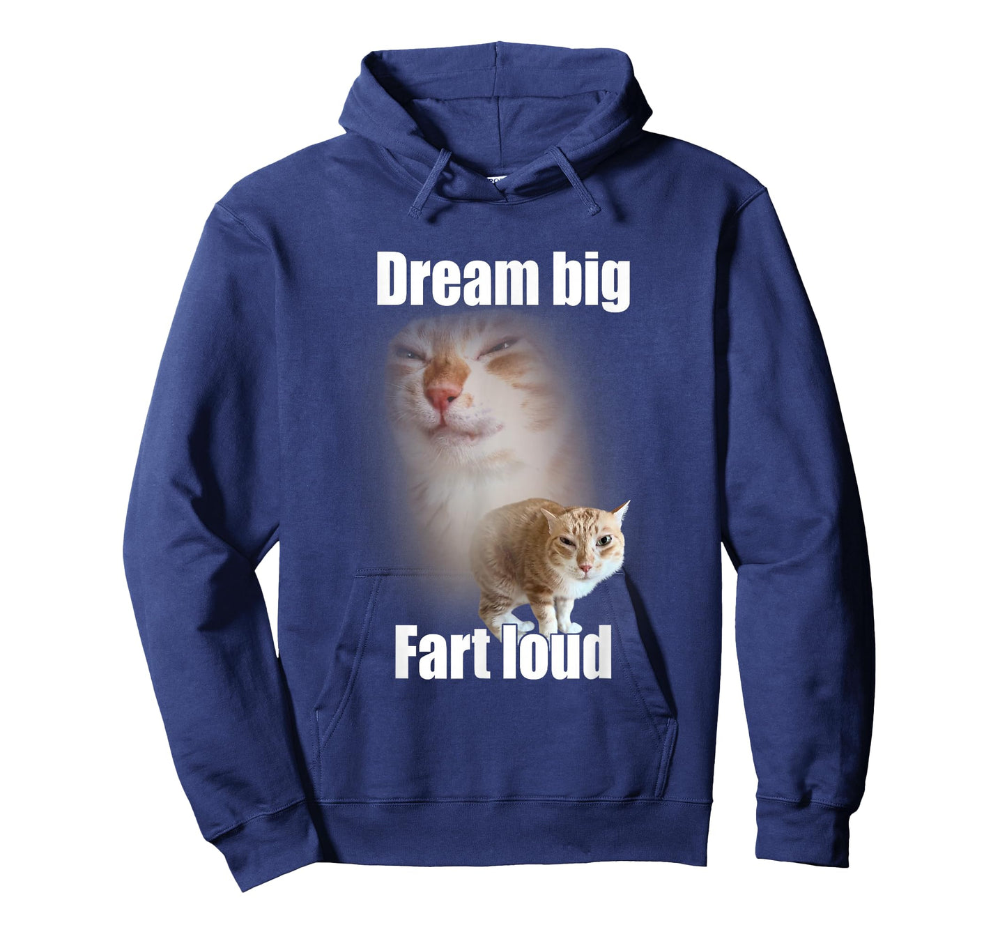 Dream Big Fart Loud Cat Meme Funny Saying T-Shirt