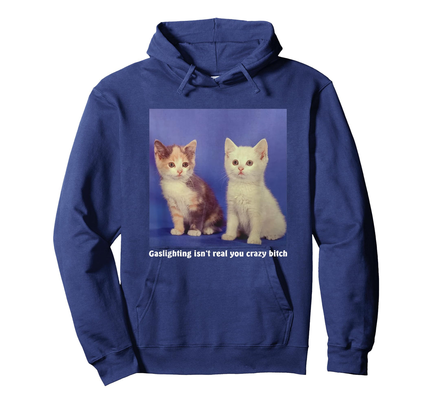 Gaslighting Isn't Real You Crazy B.I.T.C.H Funny Cat Lover T-Shirt for Men Women