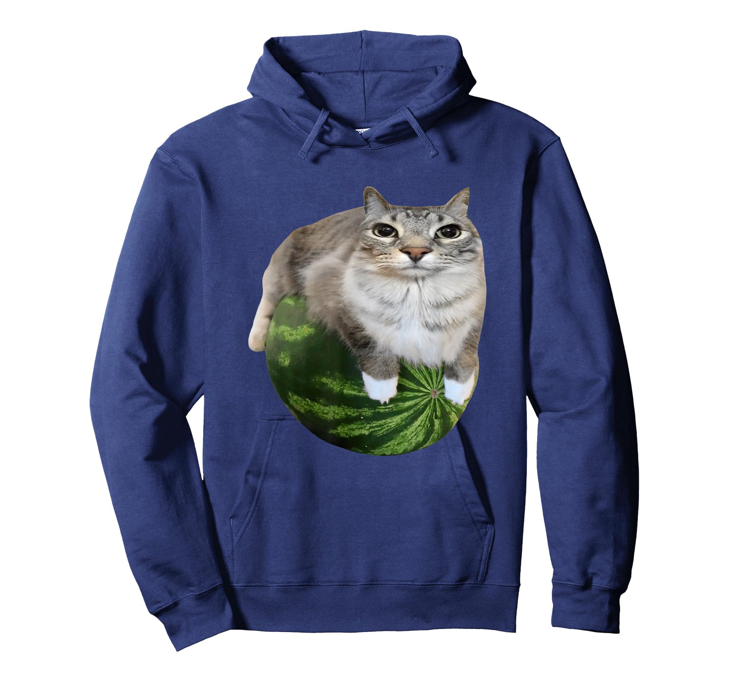 Watermelon Cat Silly Cat Meme T-Shirt