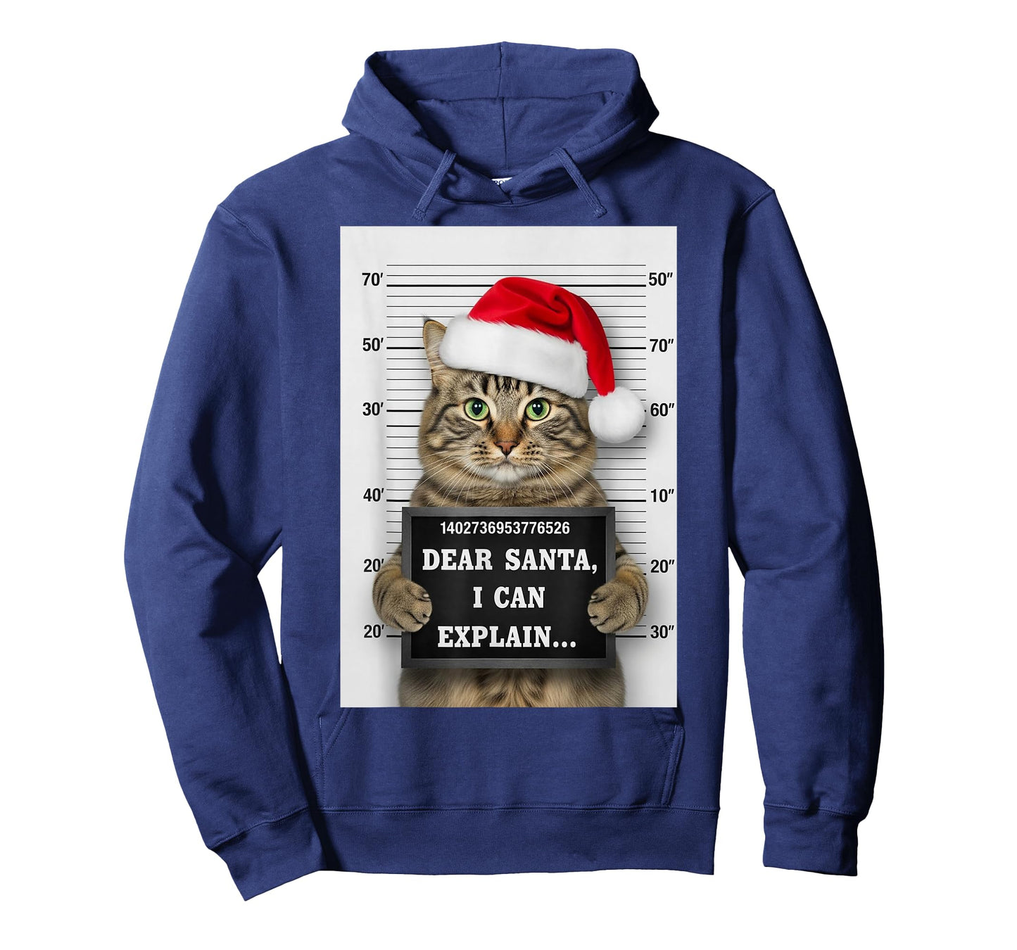 Dear Santa I Can Explain Funny Christmas Cat Kitten Mugshot T-Shirt
