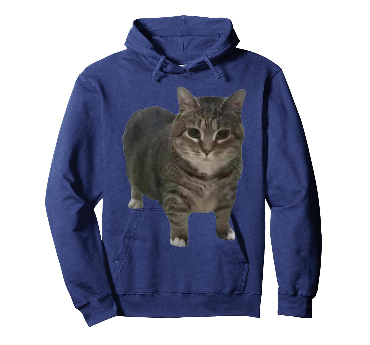 Funny oiia oiia Spinning Cat Meme Men Women T-Shirt