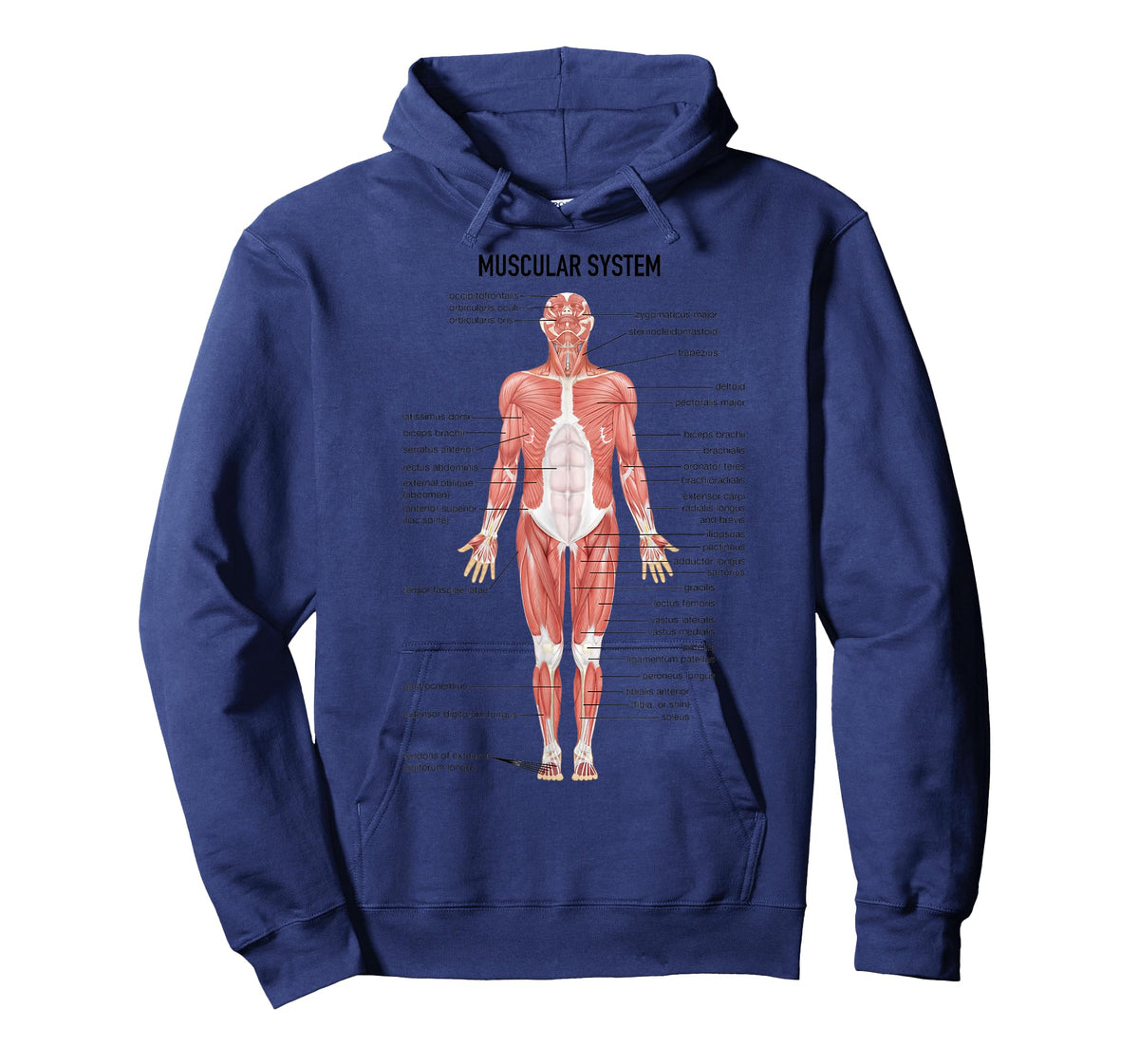 Muscular System Nurse Doctor Funny Med Medical Jokes Humor T-Shirt