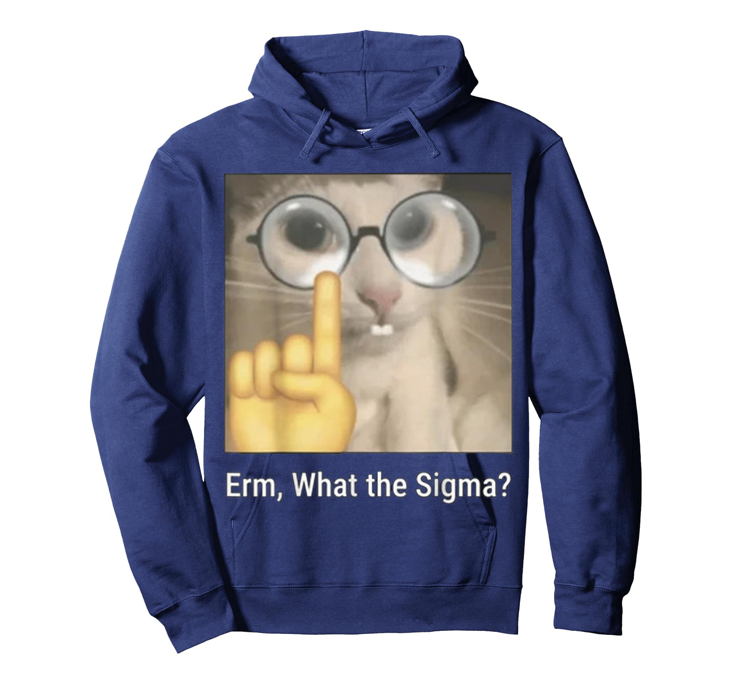 Cat Funny Erm, What The Sigma? Cat Meme Funny T-Shirt