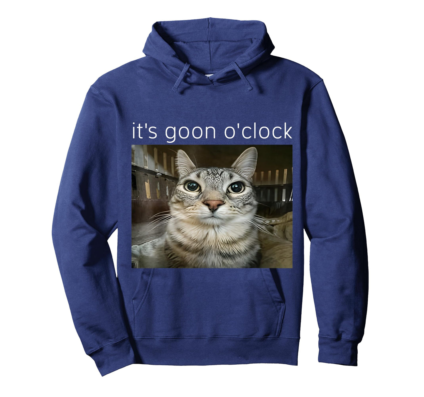 It's Goon O'clock Funny Kitten Cat Meme Gen Z Humor T-Shirt