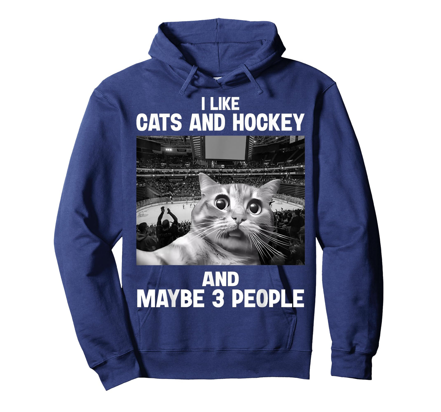 I Like Cats and Hockey Maybe 3 People Funny Meme Gift T-Shirt