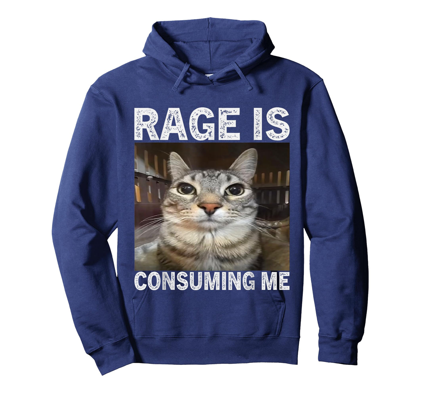 Rage is Consuming Me Silly Staring Cat Meme T-Shirt