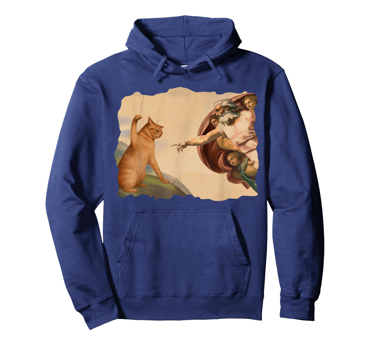 Funny Cat Swatting God's Hand Cat Shawncraft Cat Men Women T-Shirt