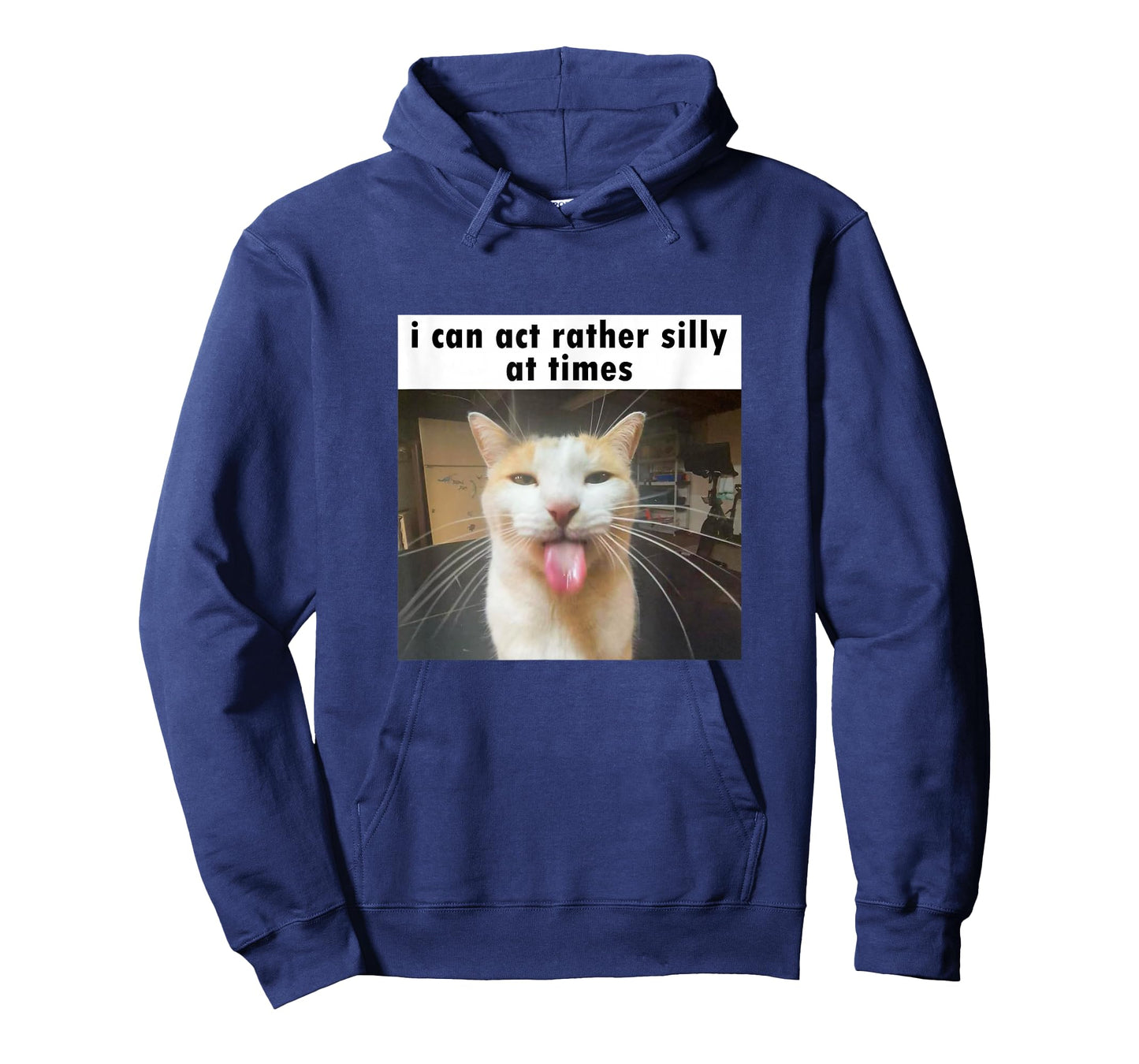 I Can Act Rather Silly at Times, Funny Silly Cat Meme T-Shirt