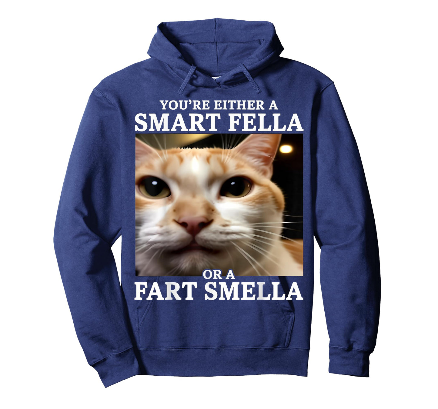 You're Either a Smart Fella or a Fart Smella Funny Cat Meme T-Shirt