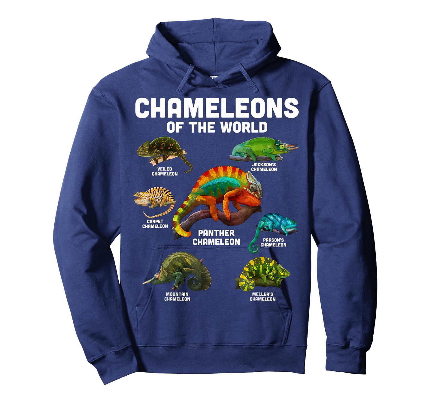 Chameleon Shirt Chameleons of the World Educational Reptile T-Shirt