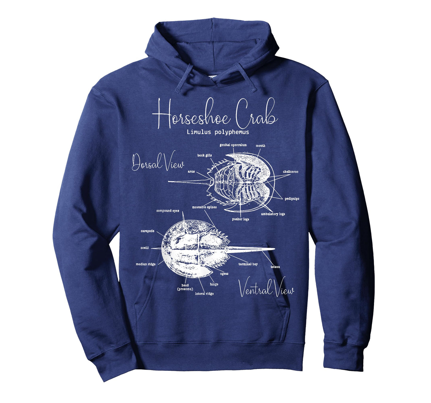 Atlantic Horseshoe Crab Anatomy Marine Biology Ocean Animal T-Shirt