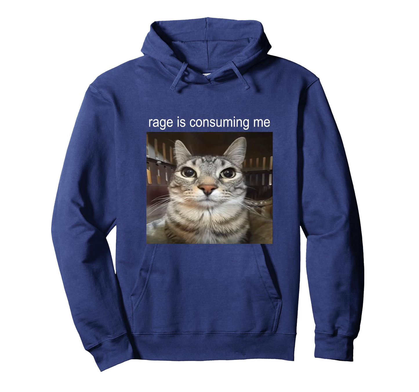 Rage is Consuming Me Silly Staring Cat Meme T-Shirt