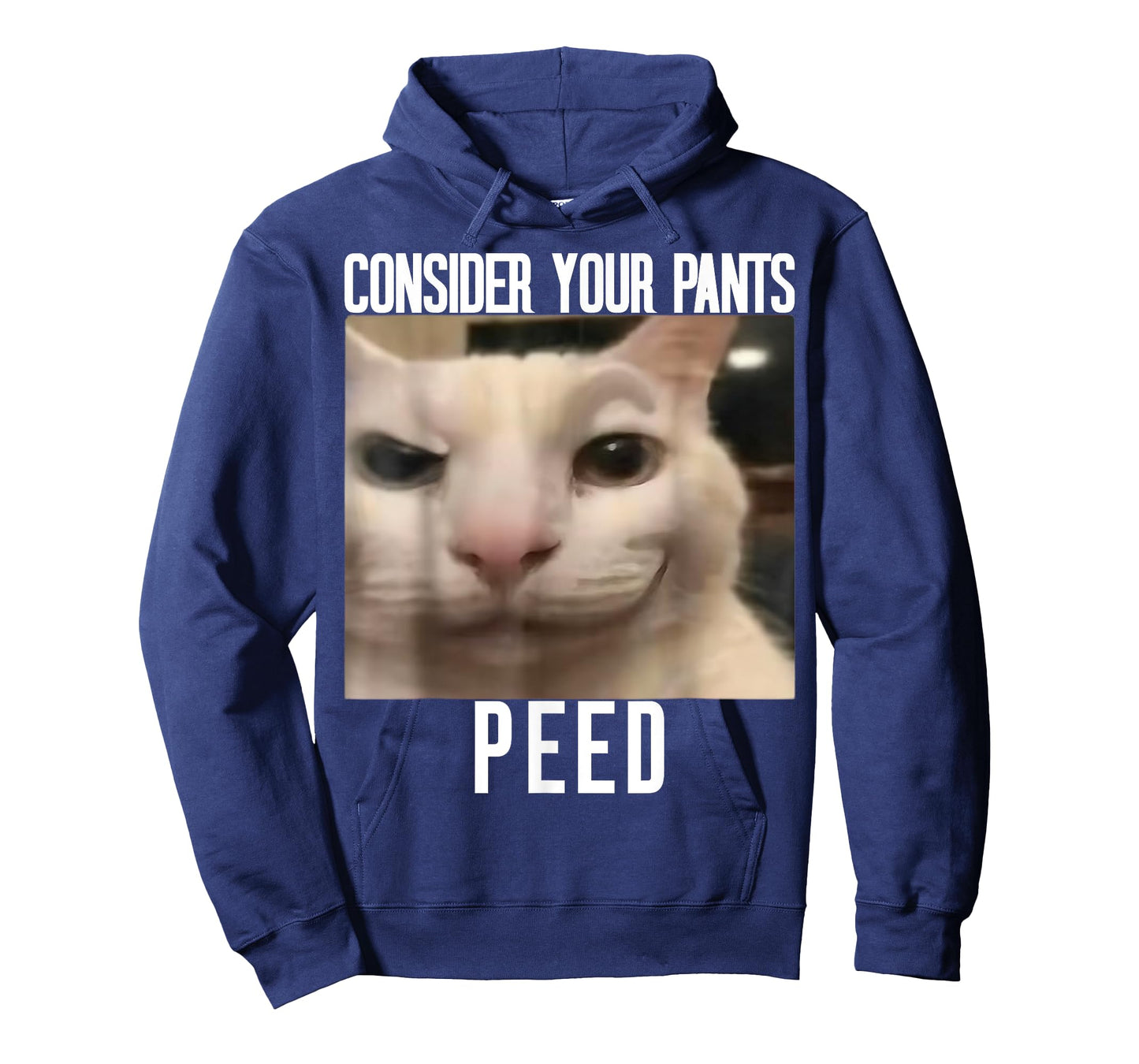 Consider Your Pants Peed Weird Cat Meme Funny Memes Brainrot T-Shirt