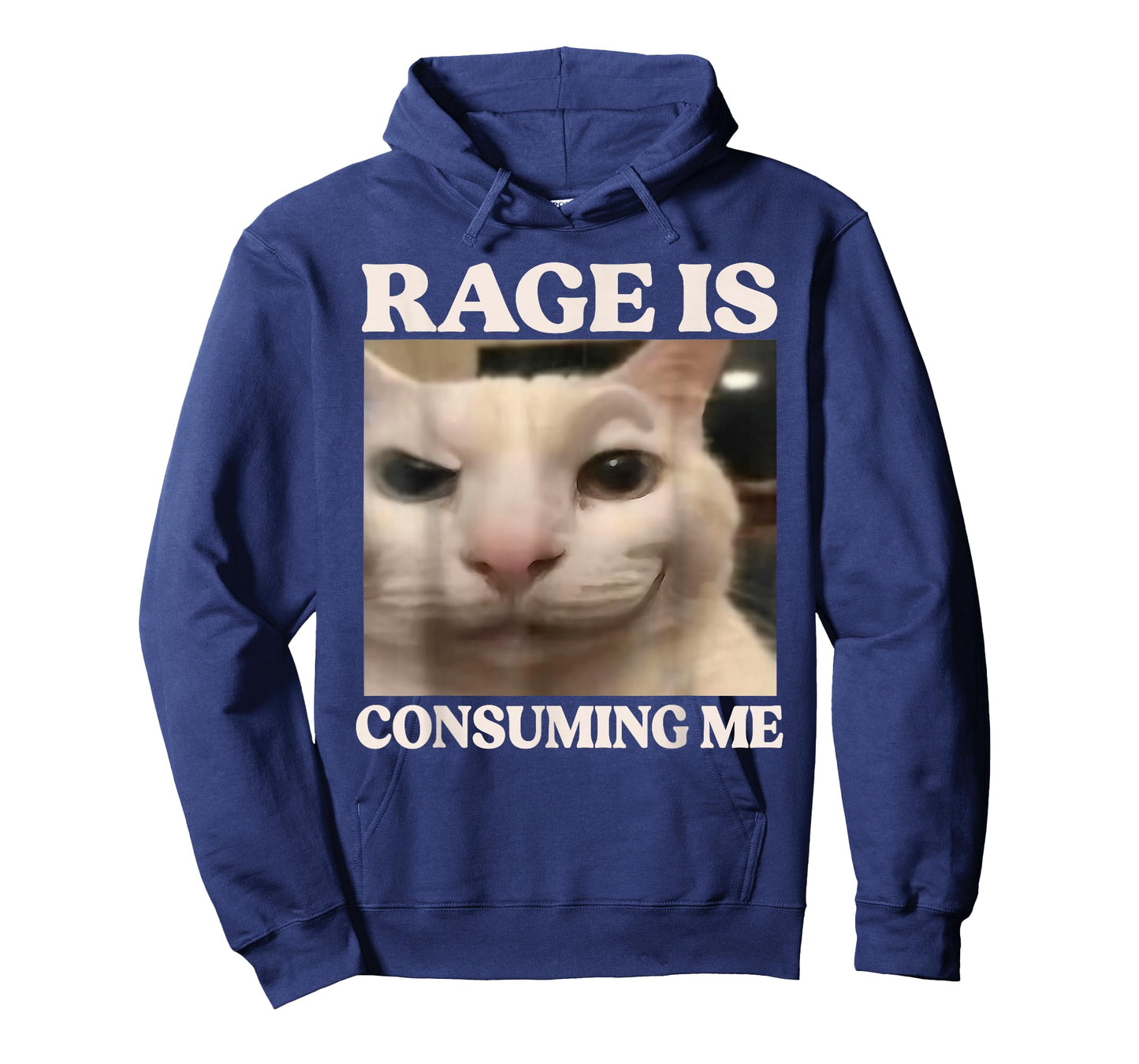 Rage is Consuming Me Cat Silly Cat Meme Rage Consumes Me T-Shirt