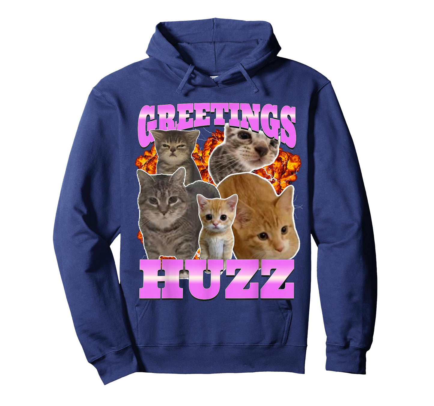Greetings Huzz Cat Meme Funny Bootleg Graphic T-Shirt