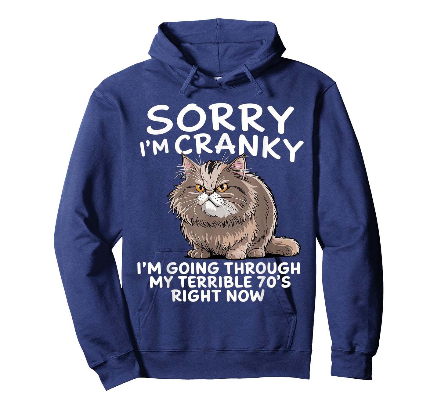 Sorry I Am Cranky I'm Going Through My Terrible Seventies T-Shirt