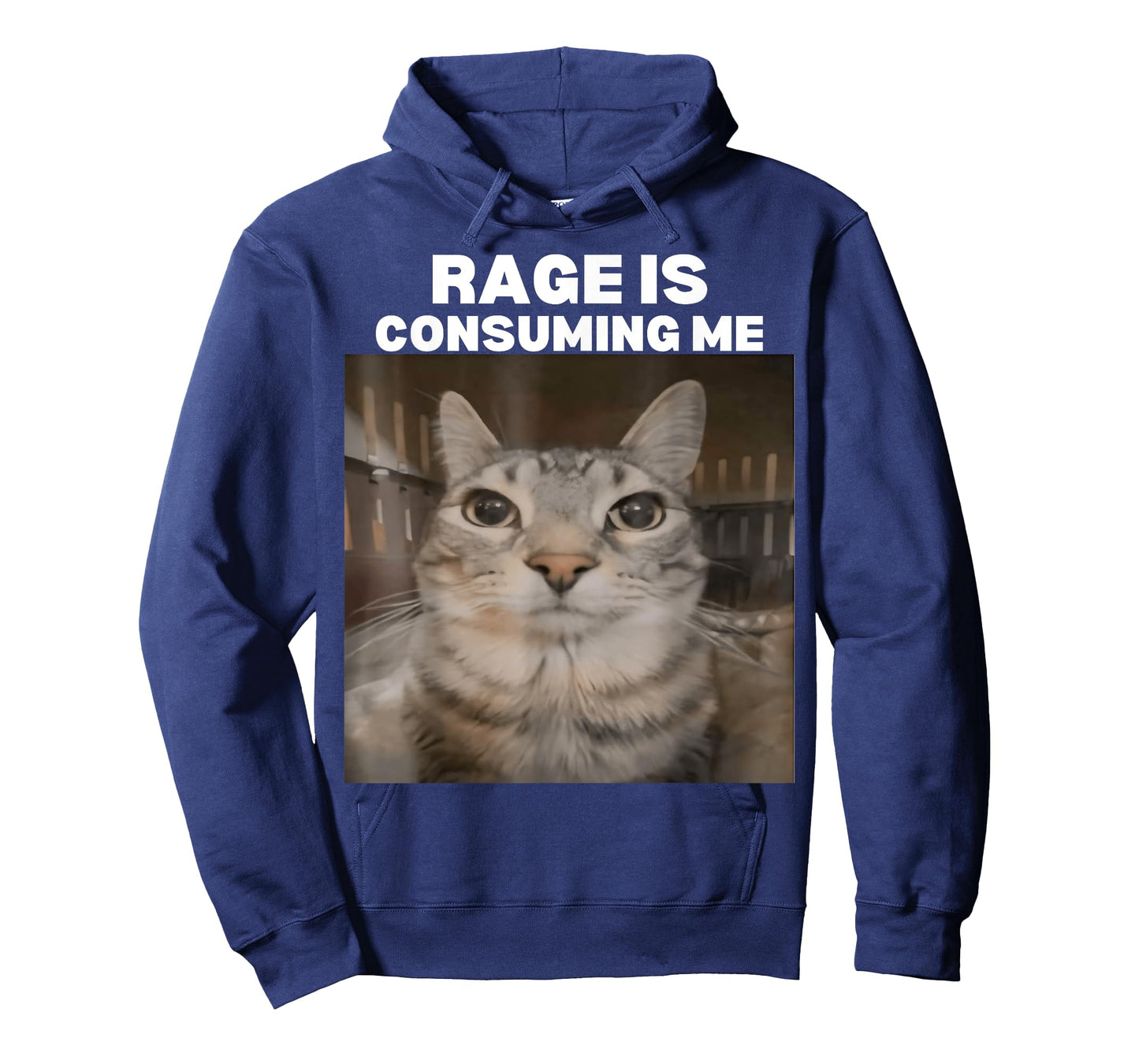 Rage Is Consuming Me Meme Cat Meme Internet Memes Funny Meme T-Shirt