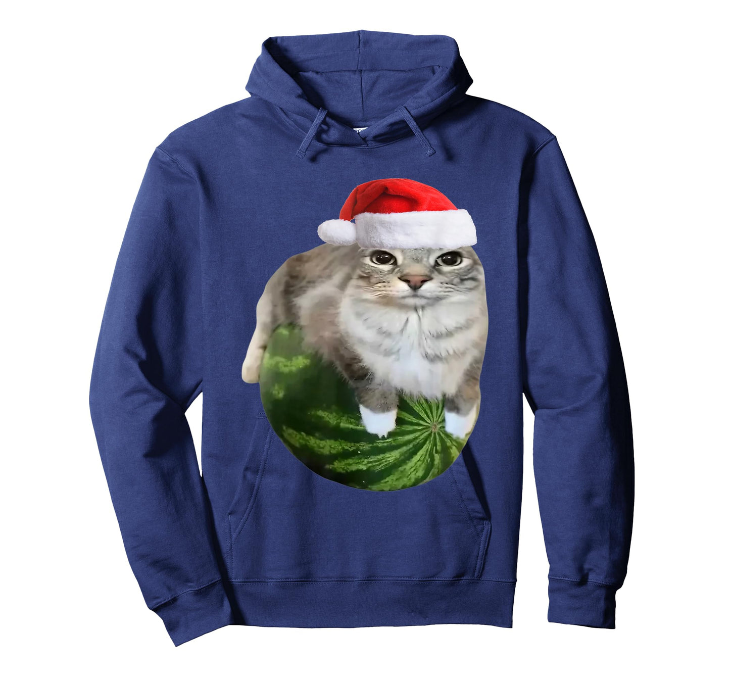 Watermelon Cat Christmas Santa Hat Funny Meme T-Shirt