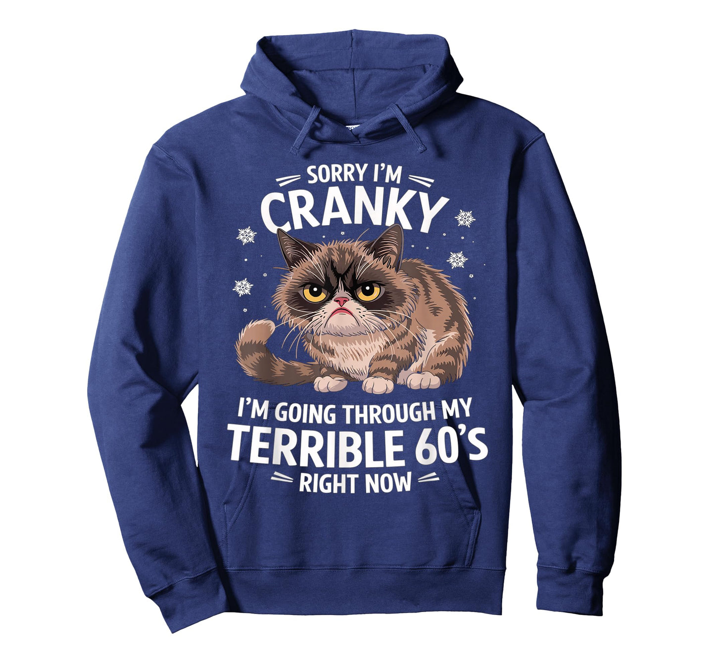 Sorry I'm Cranky I'm Going Through My Terrible 60's Cat T-Shirt