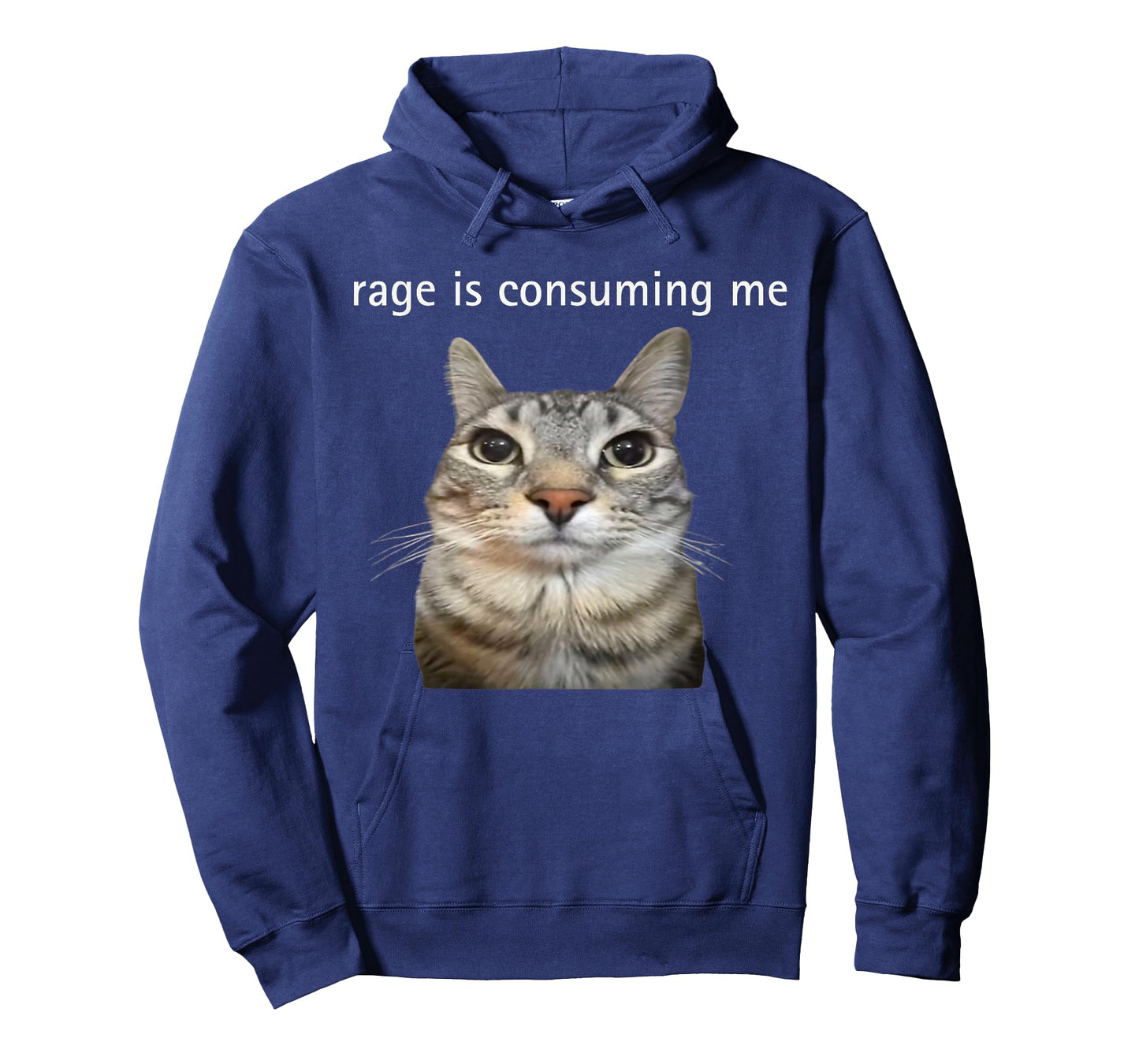 Rage Is Consuming Me Silly Staring Cat Meme Dad Mom T-Shirt