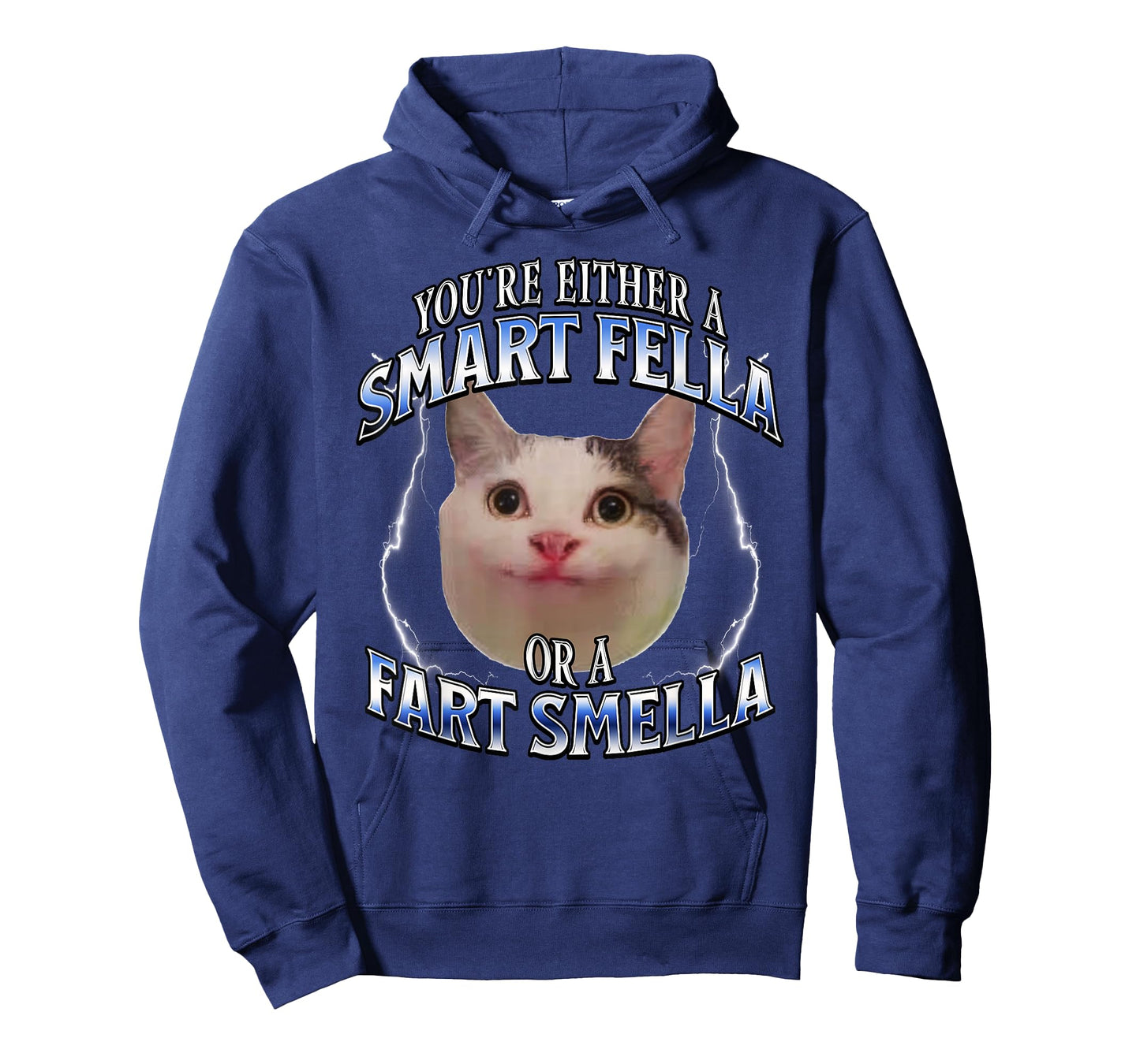 funny cat meme you're either a smart fella or a fart smella T-Shirt for Men Women Kids