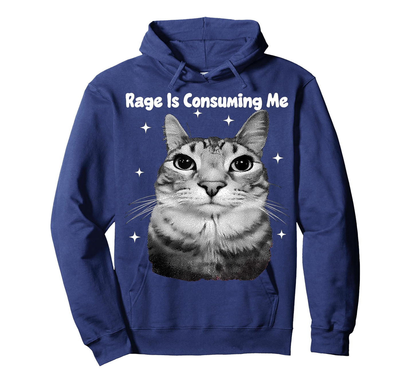 Y2K Cat Rage is Consuming Me Silly Staring Cat Meme Silly T-Shirt