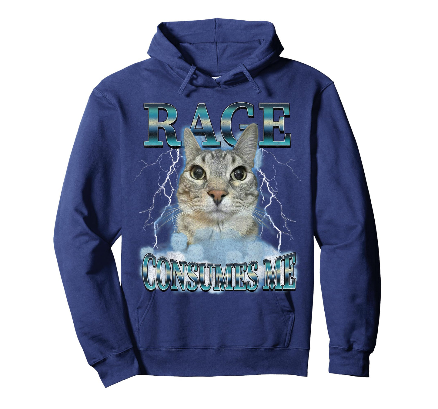 Rage Consumes Me Cat Meme Funny Saying Silly Cats Joke T-Shirt
