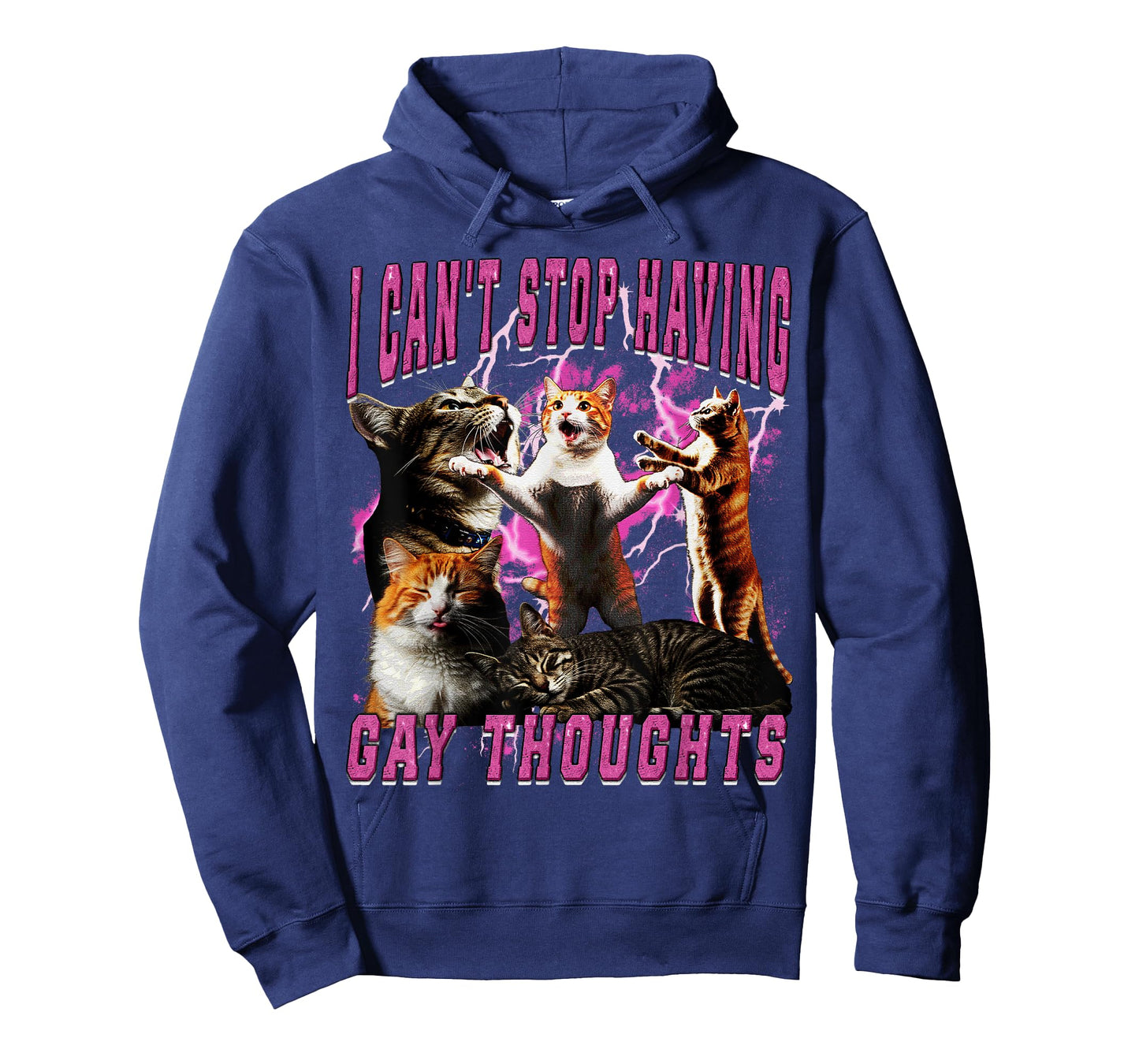 I Can't Stop Having Gay Thoughts Funny Cat Meme Bootleg T-Shirt