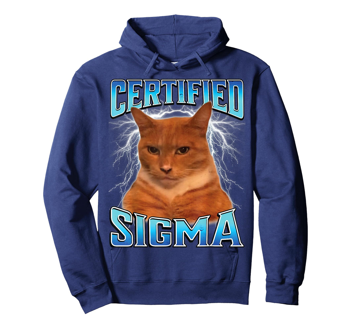 Certified Sigma Funny Staring Cat Meme Sarcastic Silly Cat T-Shirt