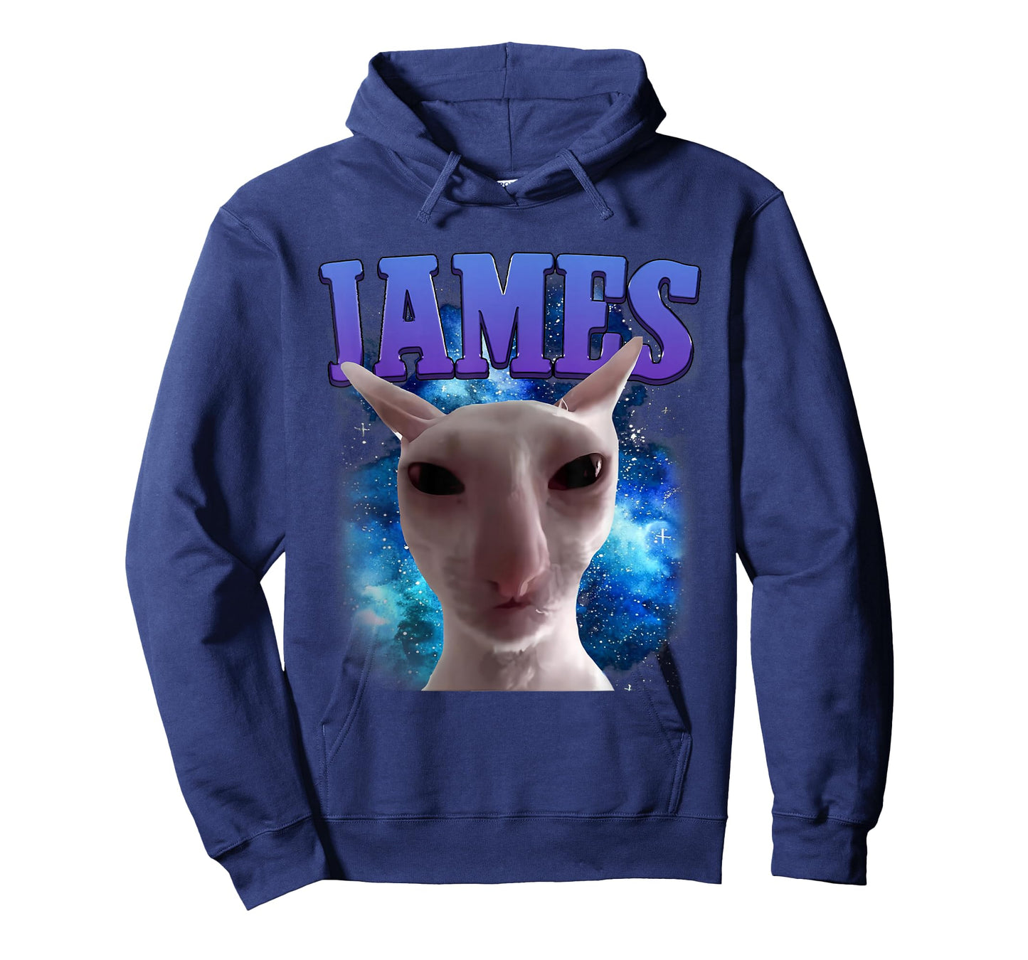 James The Cat Meme Funny Silly Cats Brainrot Meme Cat Lover T-Shirt