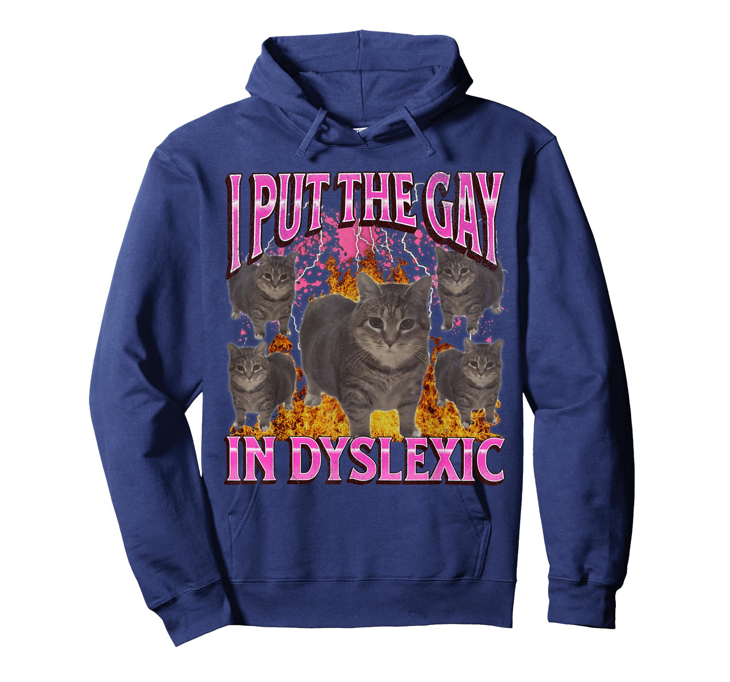 I Put The Gay In Dyslexic Funny Cat Meme Bootleg Graphic T-Shirt