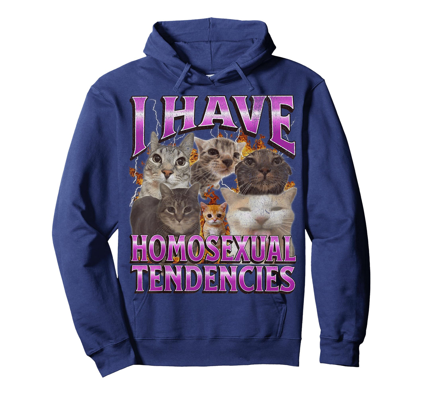 I Have Homosexual Tendencies Funny Cat Meme Bootleg Graphic T-Shirt for Men Women