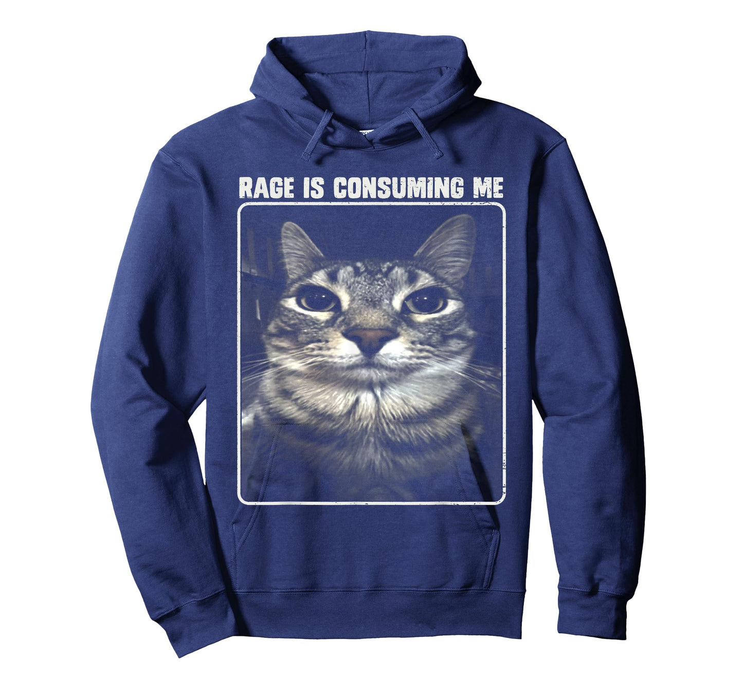 Rage Is Consuming Me Meme Silly Cat T-Shirt for Men Women Girls Kids