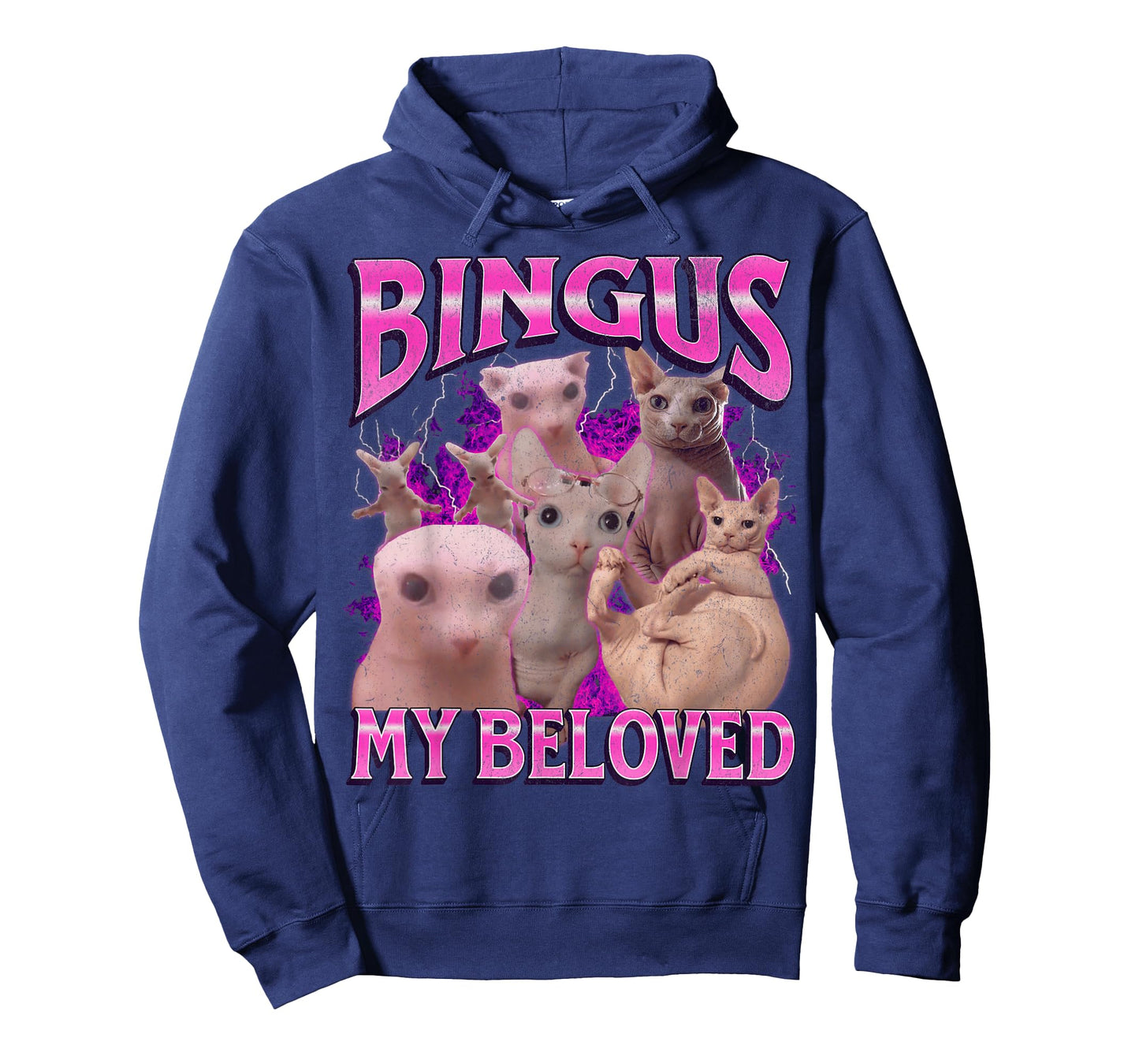 Bingus My Beloved Funny Sphinx Cat Meme Bootleg Graphic T-Shirt