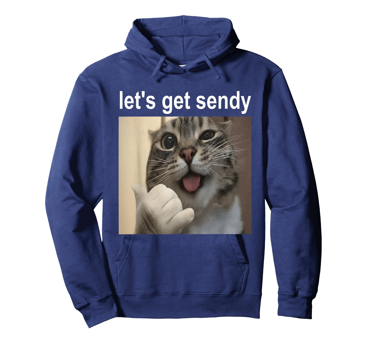 Funny Cat Let's Get Sendy Meme Gen Alpha Slang T-Shirt