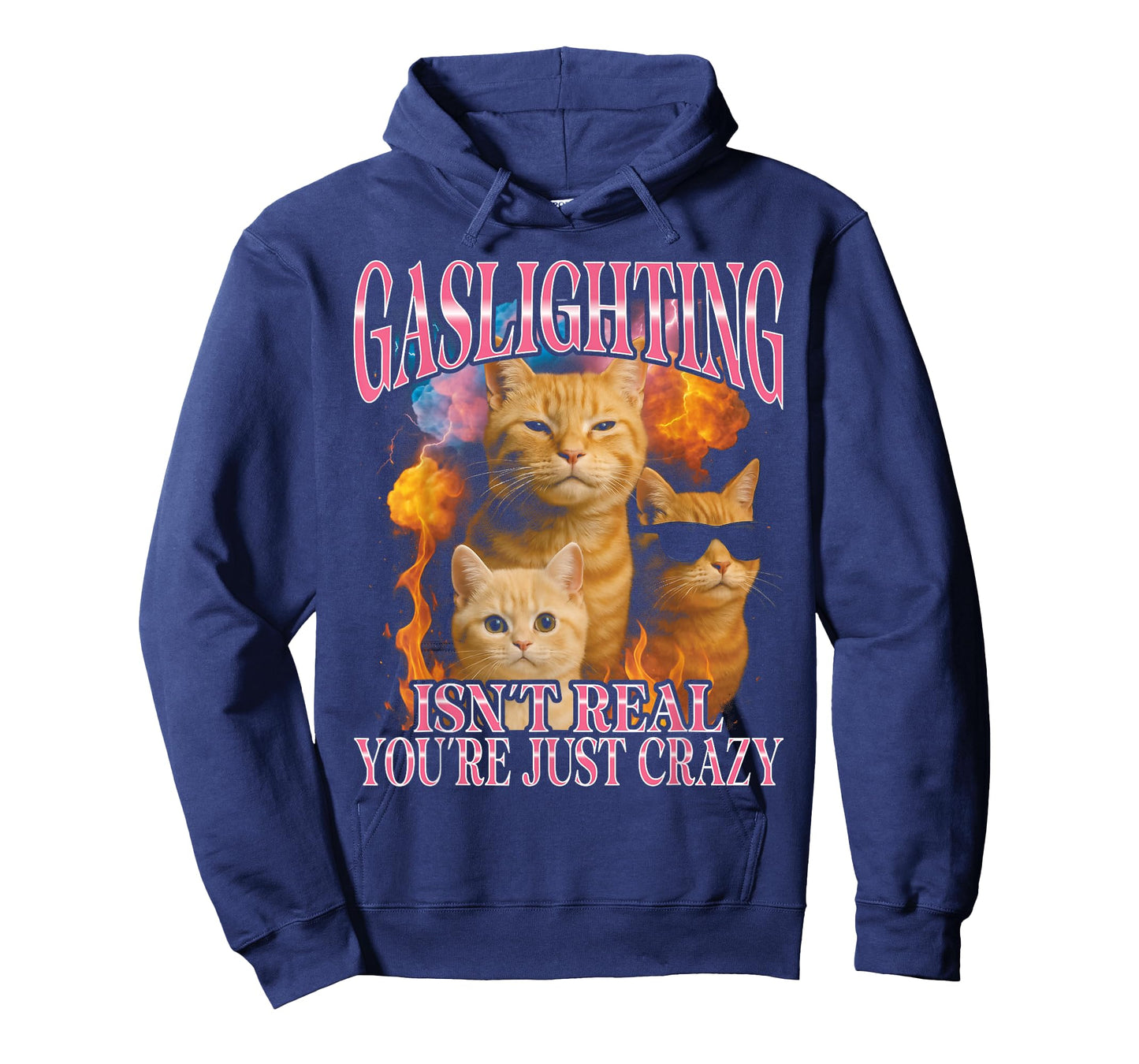 Gaslighting Isn't Real You're Just Crazy Funny Cat T-Shirt