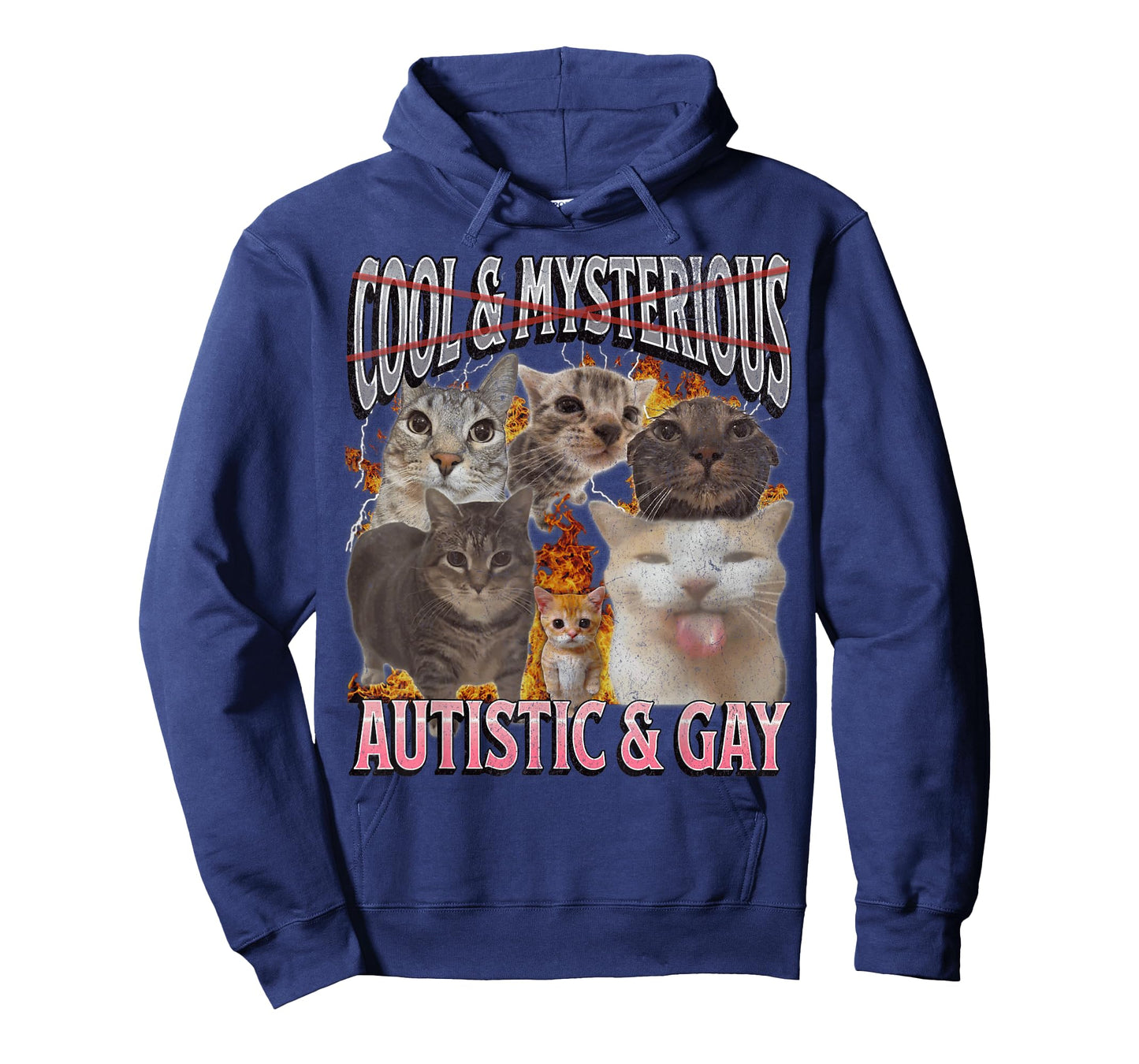 Autistic and Gay Funny Cat Meme Bootleg Graphic T-Shirt