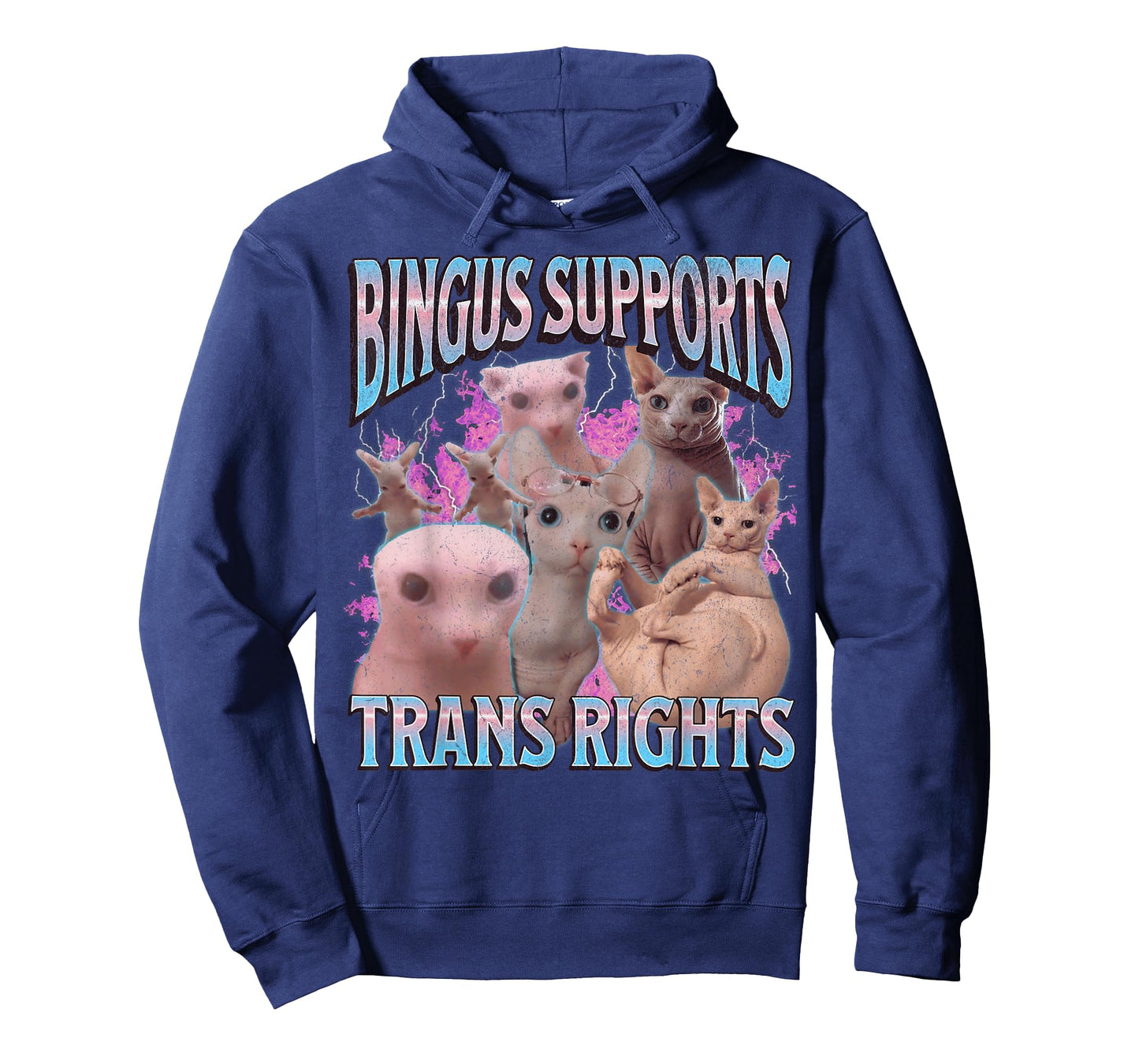 Bingus Supports Trans Rights Funny Sphinx Cat Meme Bootleg Men Women T-Shirt