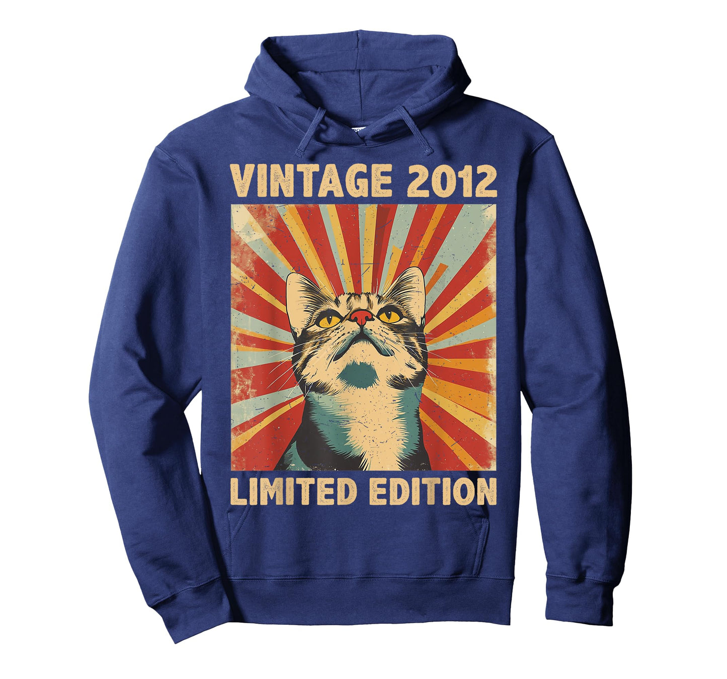 13 Years Old Gift Vintage 2012 Cat Lover 13th Birthday T-Shirt for Men Women Kids
